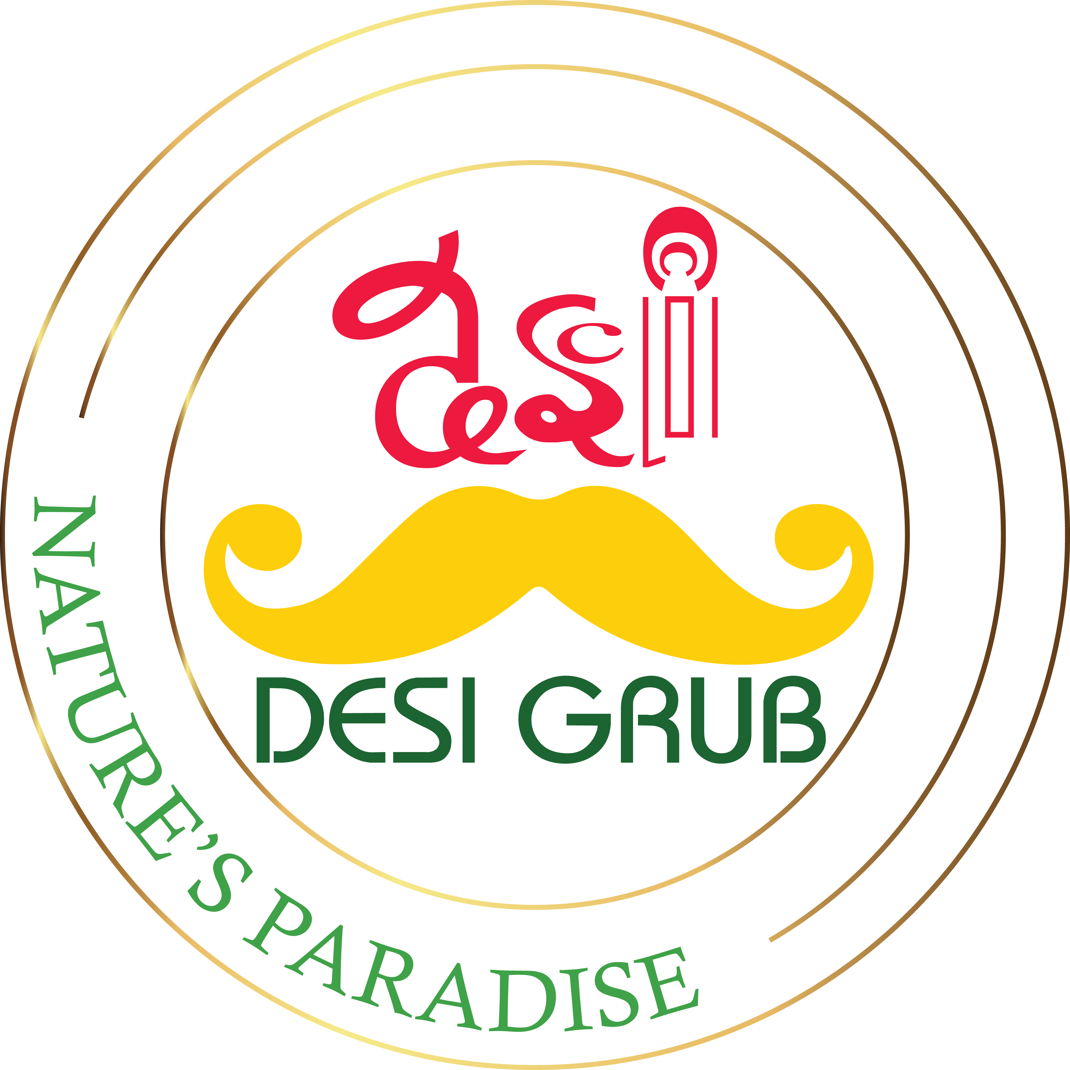 Desi Grub Pvt Ltd
